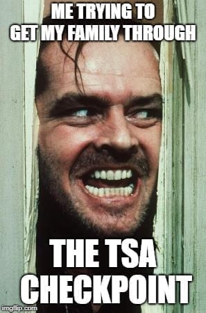 TSA Memes - trying to get my family through TSA Airport Memes