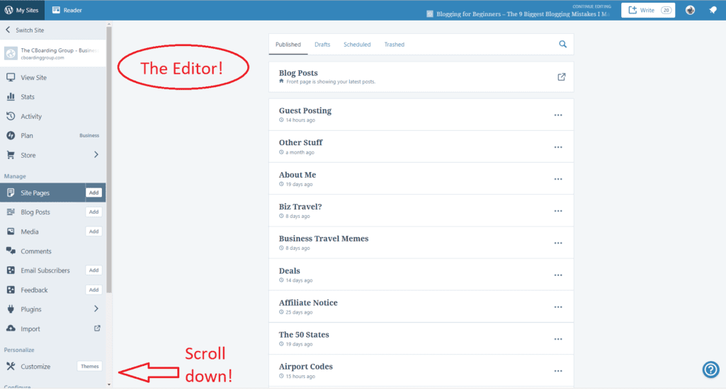 WordPress Editor - from the Starting a Blog Guide for the Beginning Blogger