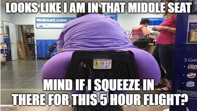 Travel Memes - Fat Passenger