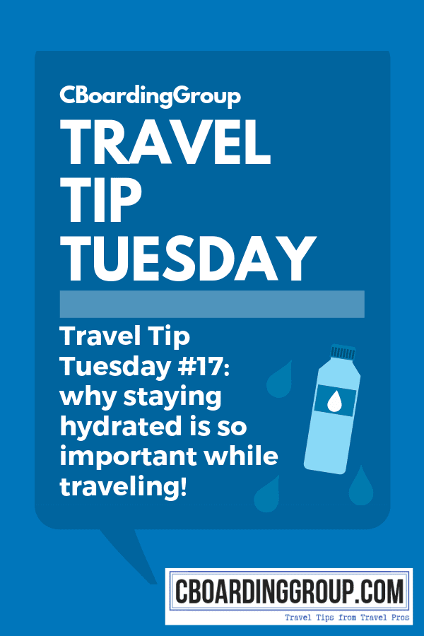 Travel Tip Tuesday #17_ The Importance of Staying Hydrated while traveling (Healthy Travel Tips)