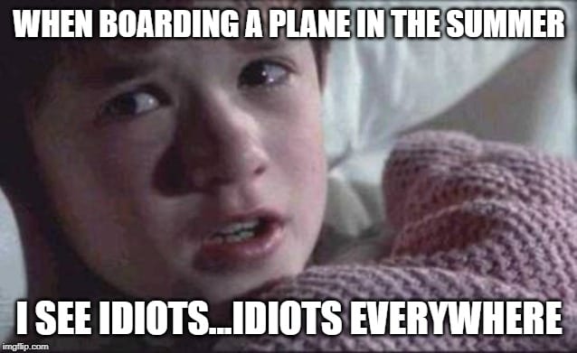 Aeroplane Memes - Summer Travel Memes - Idiots Everywhere
