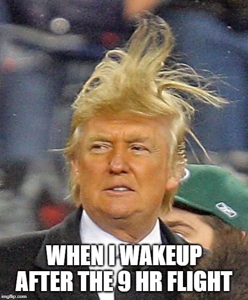 Trump Travel Meme Hair