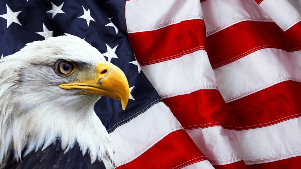 Image of Bald Eagle over Flag