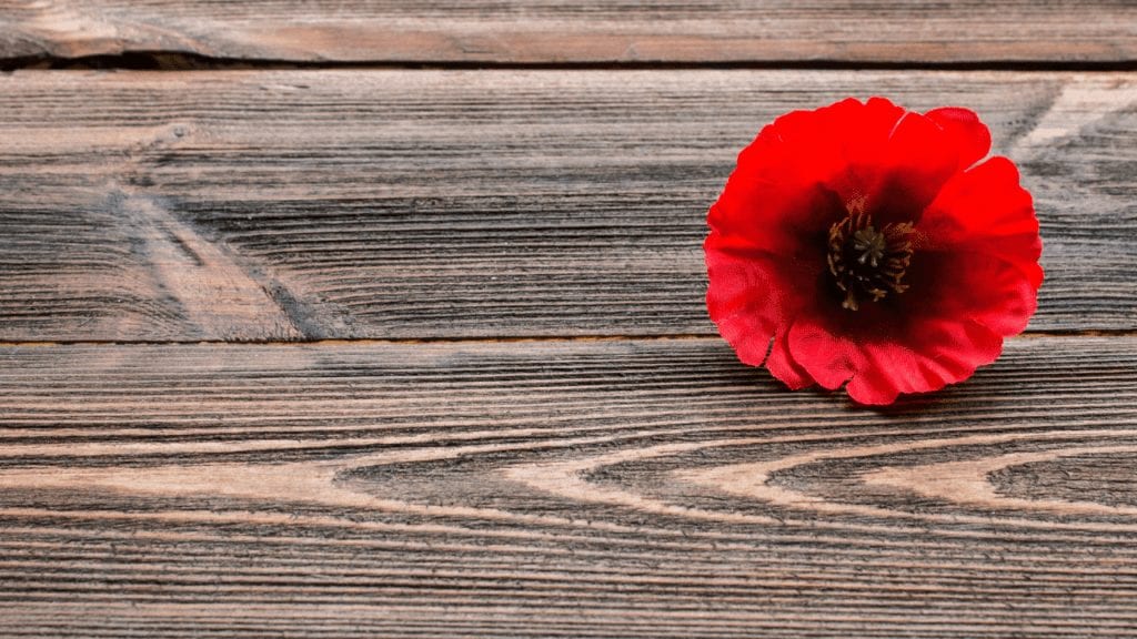Image of Poppy over Wooden Table
