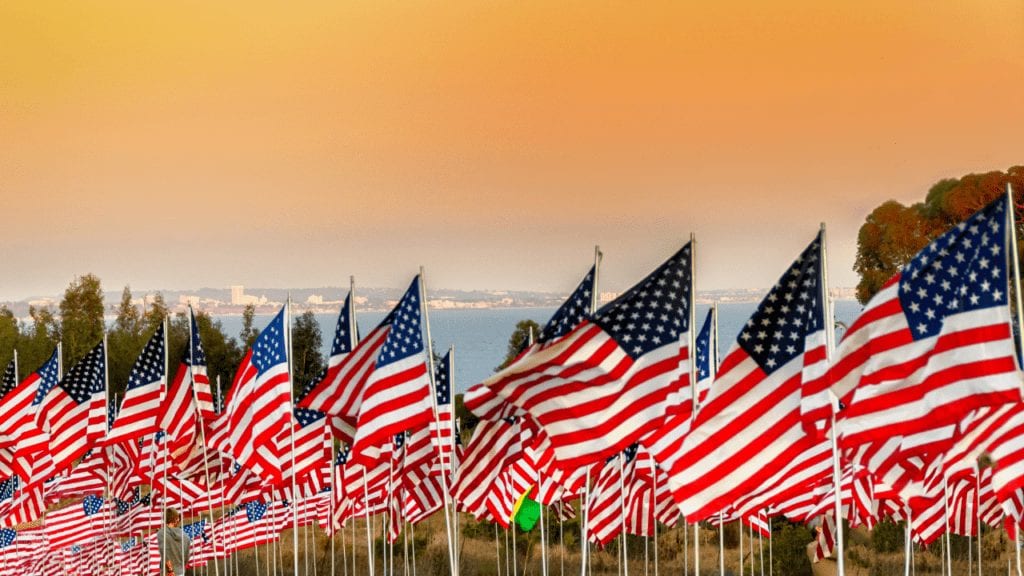 Image of field of flags in setting sun