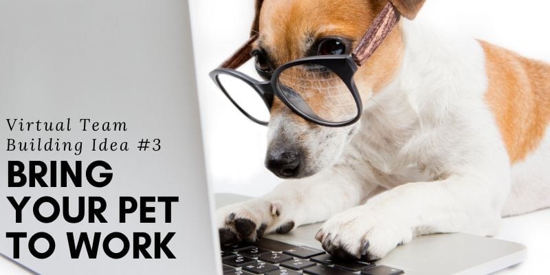 Virtual Team Building Ideas - Bring your pet to Work Day