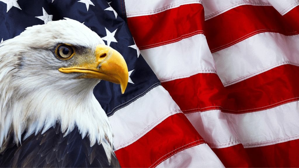 Image of a Bald Eagle over Flag