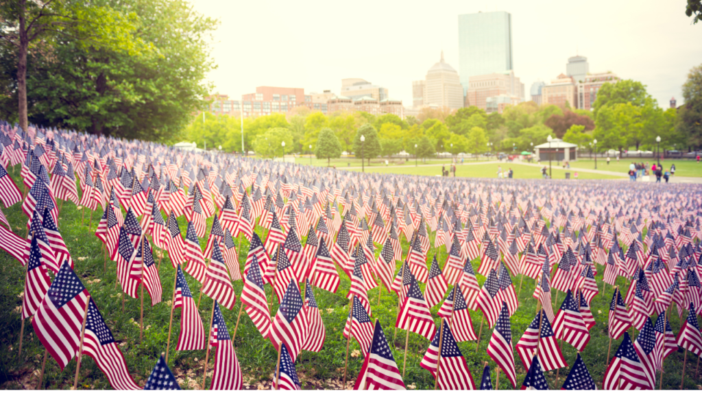 Image of field of flags with sunlight