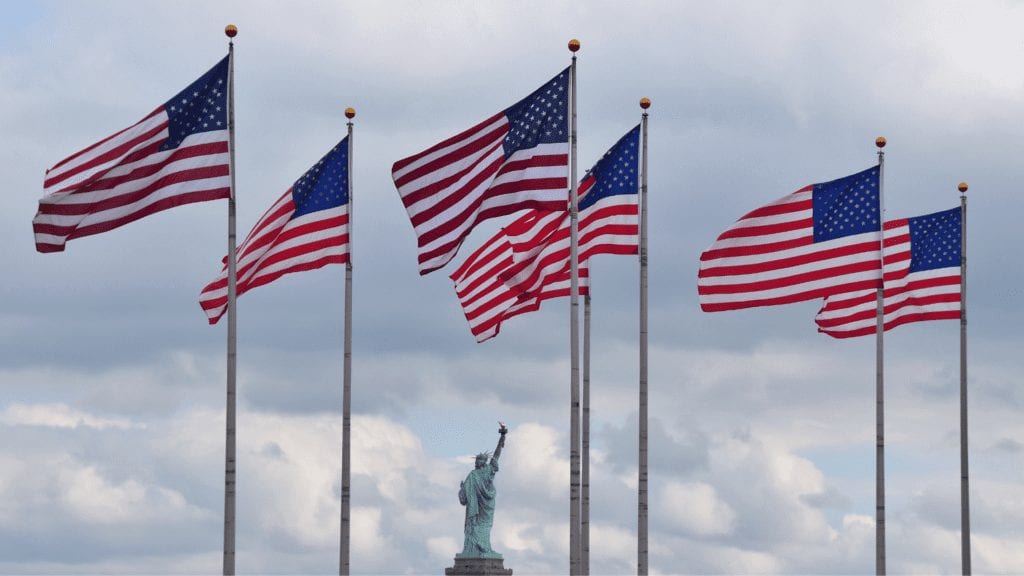 Image of many flags waving in wind with statue of liberty in background