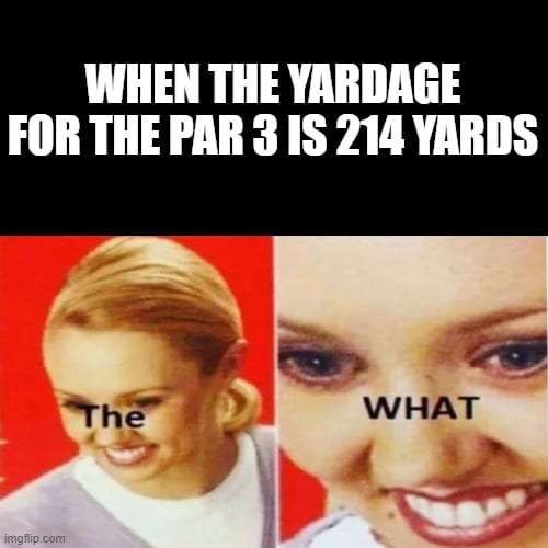Long Par 3 Golf meme