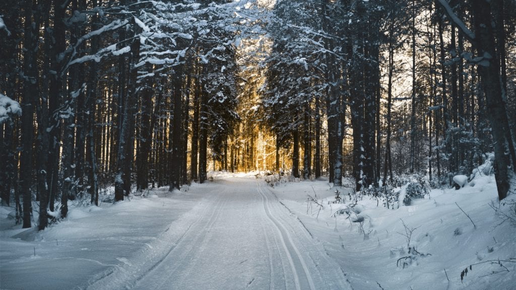 Winter themed Google Meet Backgrounds 3