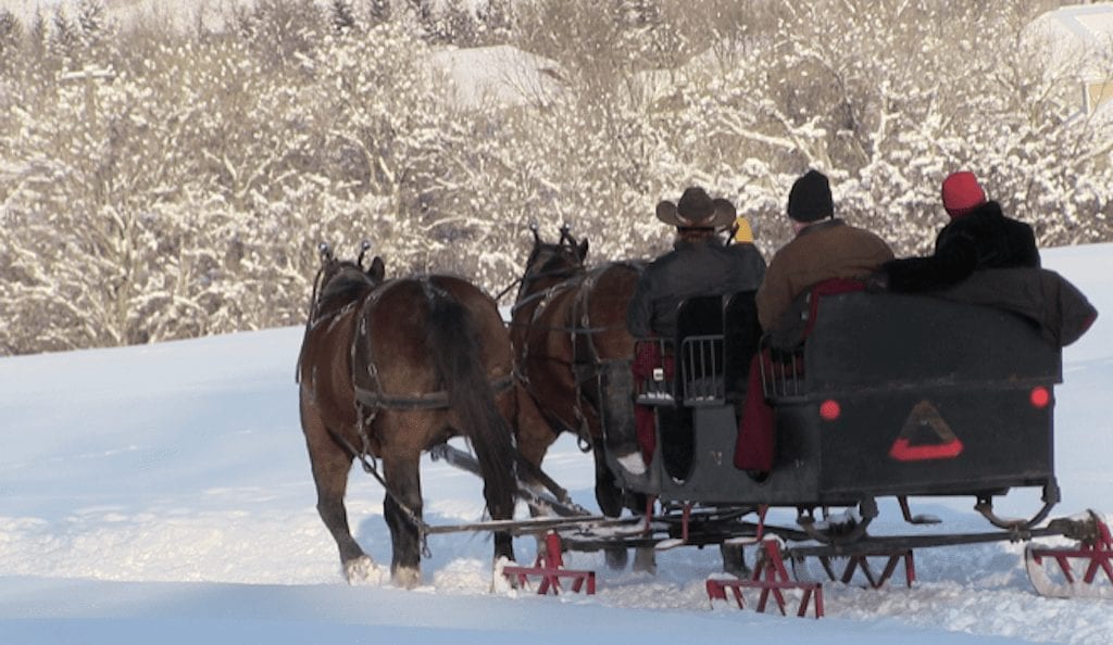 a group of people in a sleigh pulling horses through the snow