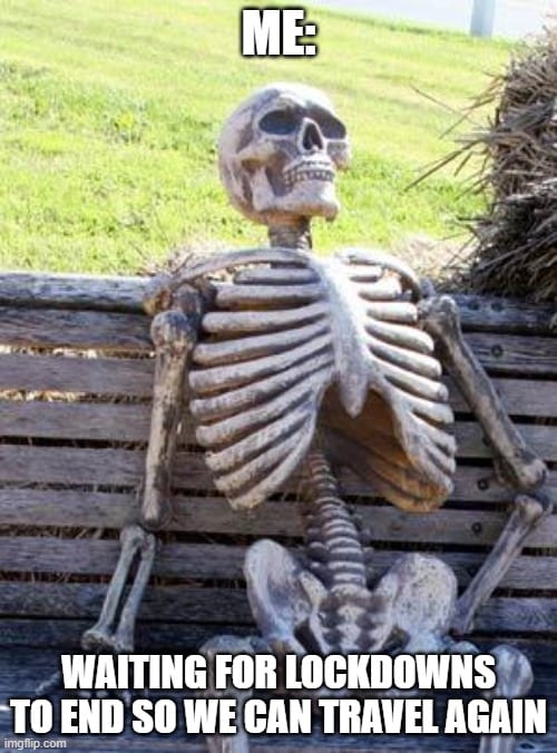 Image of skeleton who died waiting to be able to travel again meme