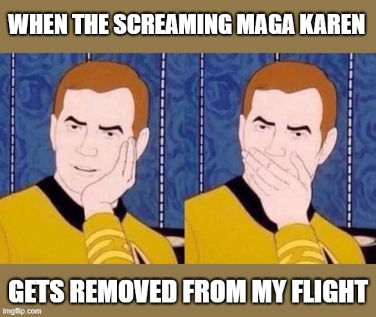 Maga gets removed from airplane meme
