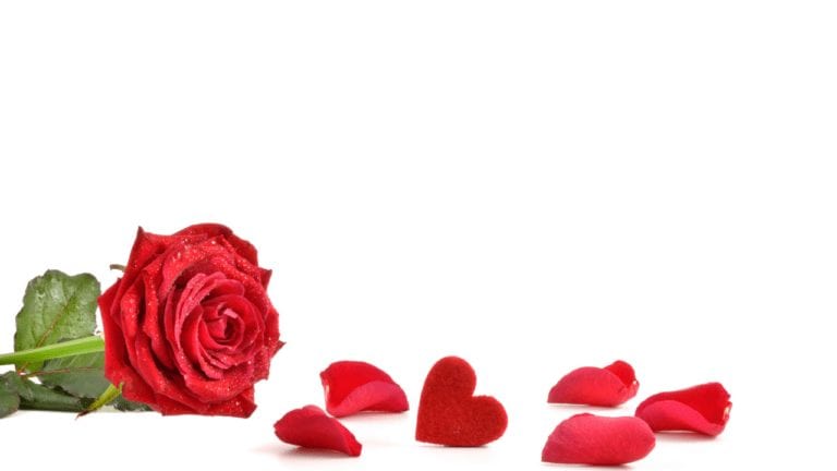 60 Free Valentine's Day Zoom Backgrounds