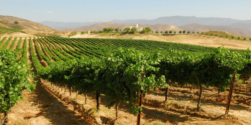 Winery Tour - Temecula CA