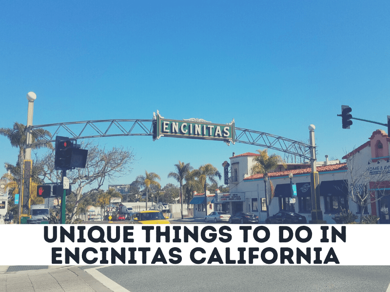 3 Unique Things to do in Encinitas California