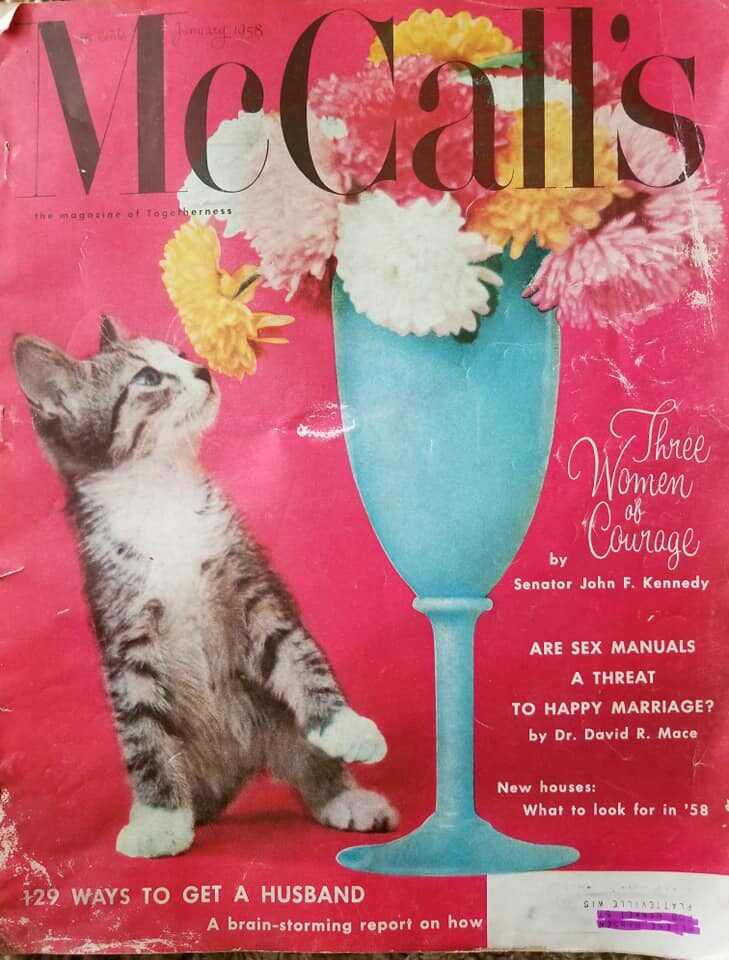 a magazine cover with a cat and flowers